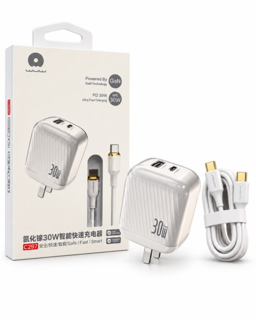 C297 30W C TYPE CHARGER SET